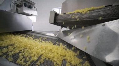 Üretim fabrikası, patates çerezlerini taşıyor. Makarna fabrikasının üretim hattı, makarna üretimi.
