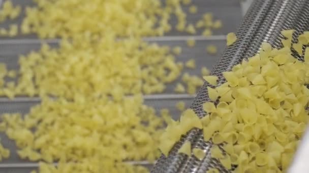 Üretim Fabrikası Patates Çerezlerini Taşıyor Makarna Fabrikasının Üretim Hattı Makarna — Stok video
