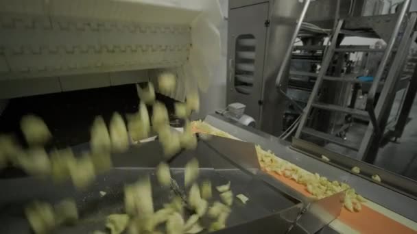 Productie Fabriek Lijn Beweegt Gouden Aardappel Chips Het Bakken Productielijn — Stockvideo