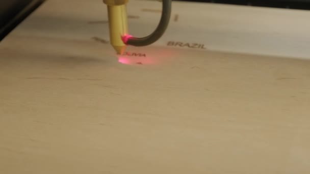 Máquina Corte Laser Cnc Corta Prancha Madeira Madeira Compensada — Vídeo de Stock