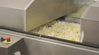 Üretim fabrikası, kızartmadan sonra altın patates cipsi satıyor. Makarna fabrikasının üretim hattı.