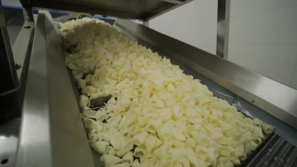 Production Factory Line Moves Golden Potato Chips Frying Production Line — Stock Video