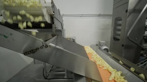 Produksi Garis Pabrik Bergerak Kentang Chip Emas Setelah Menggoreng Baris — Stok Video