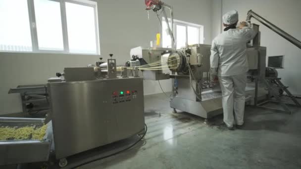 Master Configures Seed Snack Production Line Seed Cleaning Line Pasta — Stock Video