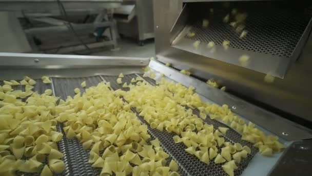 Production Factory Line Moves Potato Snackes Production Line Pasta Factory — Stock Video
