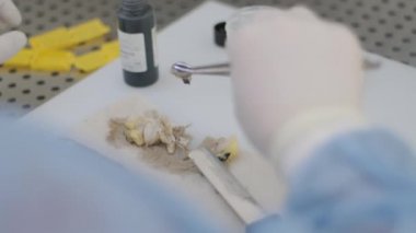 Laboratuvar asistanı mikro tarama ile histolojik inceleme yapar. Patoloji teşhisi için roter mikrotom bölümü histolojik bir mikroskop yapar. Doku örneği alınıyor..