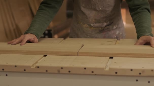 Woodworker Cuts Wooden Plank Plywood Panel Wood Raw Workshop Using — Stock video