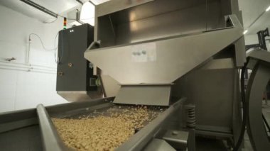 Kızarmış fıstık. Fındık fabrikasındaki operasyonları sıralıyorum. Kavrulmuş fıstık paketleme üretim hattı