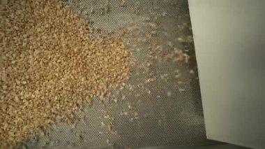 Kızarmış fıstık. Fındık fabrikasındaki operasyonları sıralıyorum. Kavrulmuş fıstık paketleme üretim hattı