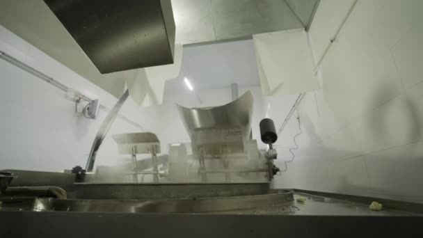 Patates Cipsi Abur Cubur Üretimi Endüstriyel Kızartma Makinesi Cips Büyük — Stok video