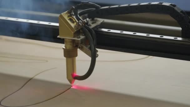 Cnc Laser Řezací Stroj Řeže Dřevěné Prkno Překližky — Stock video