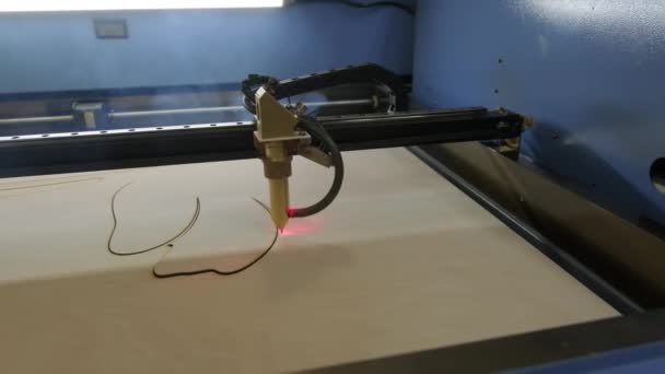 Mesin Pemotong Laser Cnc Memotong Papan Kayu Dan Kayu Lapis — Stok Video