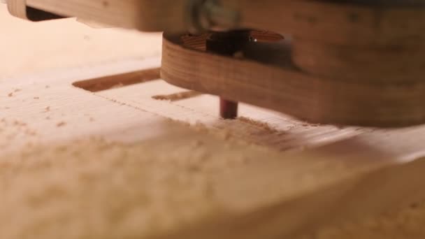 Cnc Router Cutting Wood Planks Plywood — Stock Video