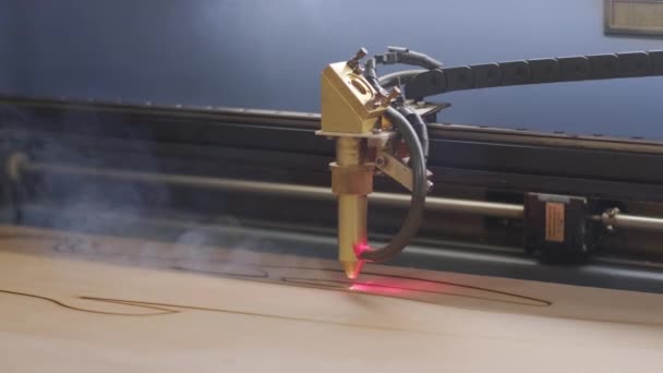 Máquina Corte Laser Cnc Corta Prancha Madeira Madeira Compensada — Vídeo de Stock