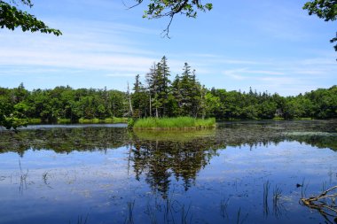 Shiretoko Goko gölünün üçüncü gölündeki küçük ada, Japonya 'nın Hokkaido kentinde yaz mevsiminde görülüyor..