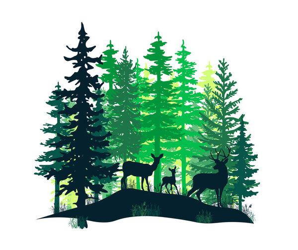 Олень с рогами, лань, самец, позирующий в волшебном туманном лесу. Иллюстрация силуэтов. Хвойные деревья.