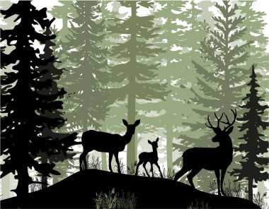 Geyik boynuzları, geyik yavrusu sihirli sisli ormanda poz veriyor. Siluet çizimi. Kozalaklı ağaçlar.