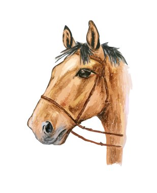Beyaz arka planda izole edilmiş kahverengi atın elle çizilmiş suluboya çizimi.