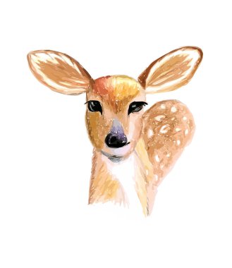 Beyaz arka planda izole edilmiş kahverengi geyiğin el çizimi suluboya çizimi.