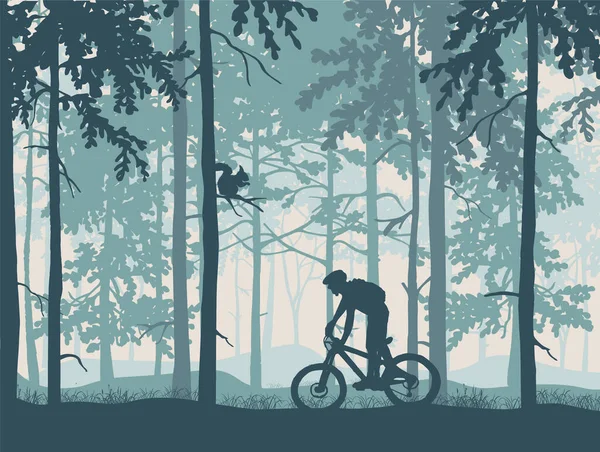 Silhouette Von Mountainbike Fahrer Magischen Nebligen Wald Wilde Naturlandschaft Eichhörnchen — Stockvektor