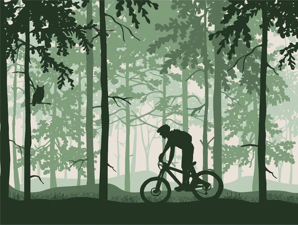 Silhouette Mountain Bike Rider Magical Misty Forest Wild Nature Landscape — Stock Vector