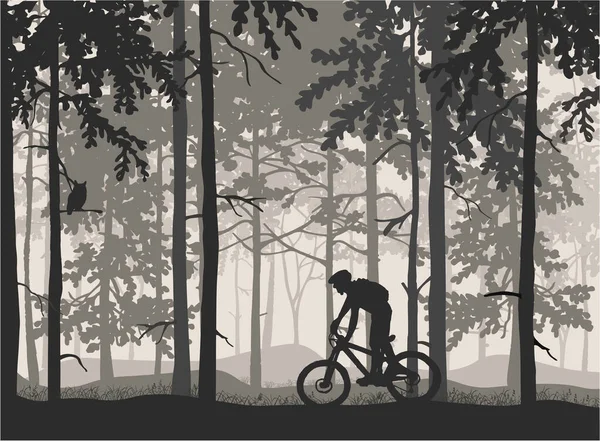 Silhouette Coureur Vtt Dans Une Forêt Brumeuse Magique Paysage Naturel — Image vectorielle