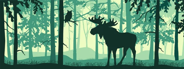 Poziomy Sztandar Leśnego Krajobrazu Łoś Porogami Magicznym Mglistym Lesie Sowa — Wektor stockowy