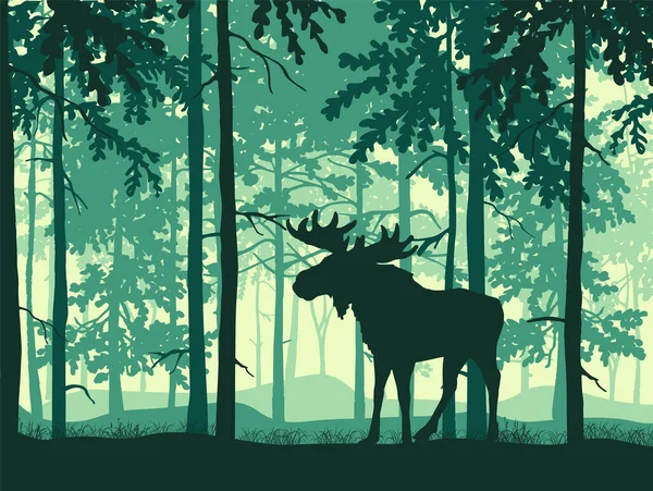 Moose Parohy Pózuje Lesní Pozadí Siluety Stromů Kouzelná Mlhavá Krajina — Stockový vektor