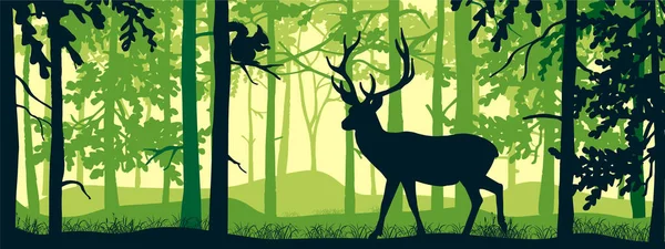 Horizontale Fahne Der Waldlandschaft Hirsch Mit Geweih Magischen Nebelwald Eichhörnchen — Stockvektor