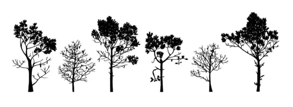 白い背景に隔離されたさまざまなタイプと形状の木のシルエットのセット イラスト — ストックベクタ