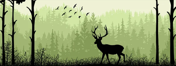 Horizontale Fahne Silhouette Von Hirschen Die Auf Einer Waldwiese Stehen — Stockvektor