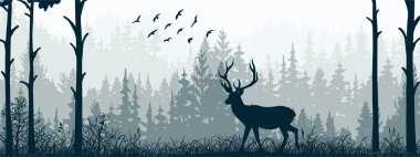 Horizontal banner of forest and meadow, silhouettes of trees and grass. Magical misty landscape, fog. Blue and gray illustration. Bookmark.	