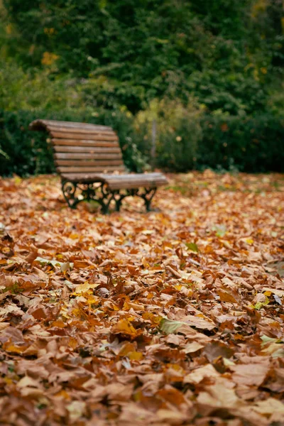 Brown Autumn Foliage Bench Green Background — Stock Photo, Image