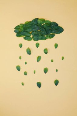 Bulut ve nane yaprağından yapılmış yağmur damlaları. Sağlıklı beslenme, diyet, antioksidan ve akıl sağlığı kavramı