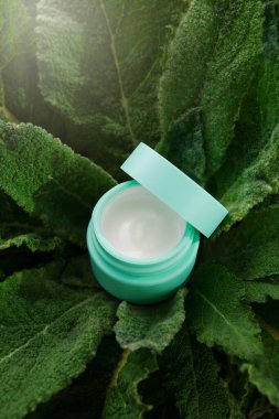Taze desenli yeşil yapraklı krem kaplı yuvarlak kozmetik kavanozu. Doğa tarzı, ev yapımı spa, güzellik ürünleri, organik kozmetik konsepti. Uzayı kopyala, dikey resim