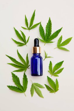 Yeşil kenevir yaprakları, beyaz arka planda mavi şişede yağ. Tıbbi marihuana. Bitkisel alternatif tıp kavramı, cbd yağı, eczacılık, kozmetik endüstrisi. Boşluğu kopyala