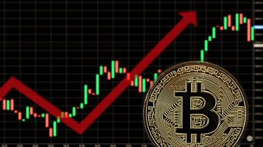 En yükseğe giden yolda Bitcoin