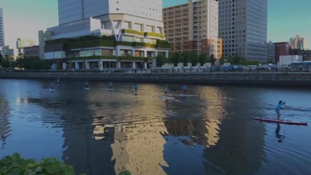 Algunos Japoneses Divierten Con Stand Paddle Canal Yokohama Yokohama Julio — Vídeos de Stock