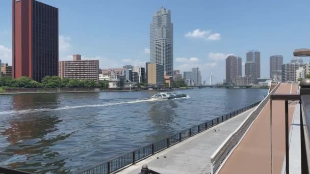 Sumida Flodkryssning Passerar Floden Vacker Solig Dag Bakom Tokyo Sky — Stockvideo