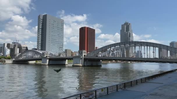 Tokyo Sky Line View Sumida River Side Bakgrunden Den Berömda — Stockvideo