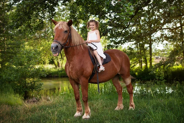 Llittle Girl Riding Horse Summer Meadow — Stock Photo, Image
