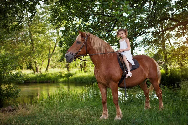 Llittle Girl Riding Horse Summer Meadow — Stock Photo, Image