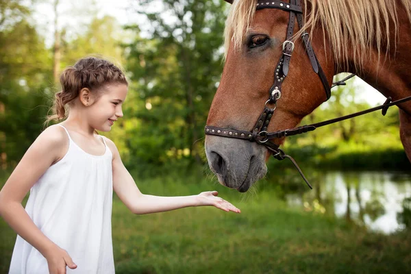 Llittle Girl Feeding Horse Summer Meadow — Stock Photo, Image