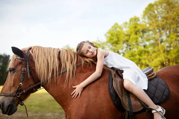 Little Girl Hugging Horse Summer Meadow — Stock Photo, Image
