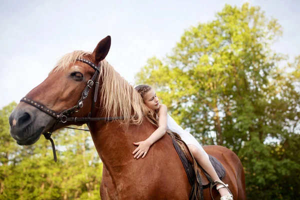 Little Girl Hugging Horse Summer Meadow — Stock Photo, Image