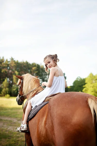 Llittle Girl Riding Horse Summer Meadow — Stock Photo, Image