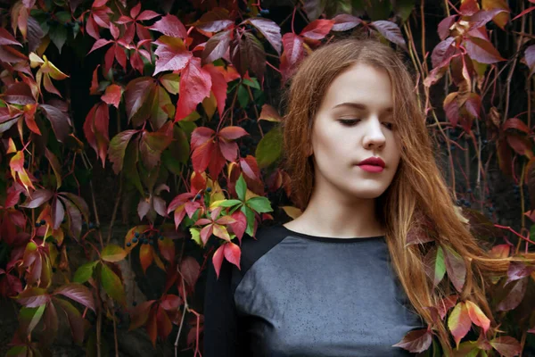 Красивая Девушка Осеннем Парке — стоковое фото