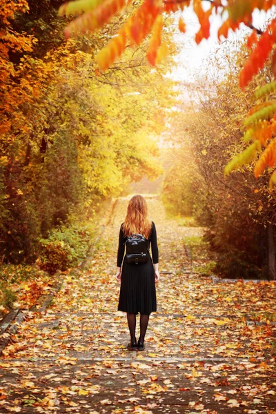 Genç Bir Kadının Sonbahar Parkındaki Arka Görüntüsü — Stok fotoğraf