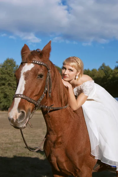 Beautiful Bride Horse — Stock Photo, Image