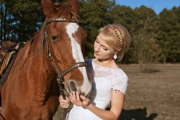 Beautiful Bride Horse — Stock Photo, Image